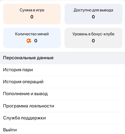 Личный кабинет на сайте, Личный кабинет в приложении