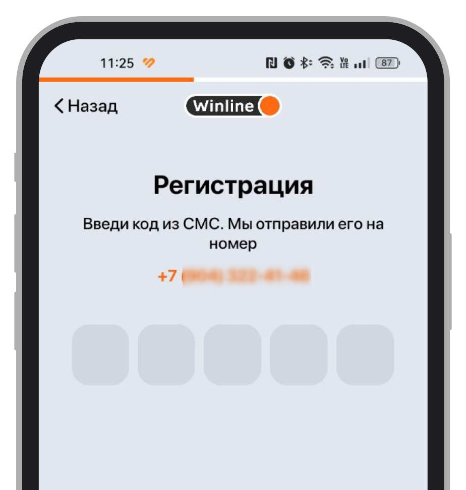 Ввод проверочного кода