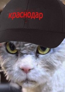 Петя Кукушкин