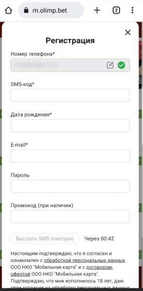 Регистрационная анкета легального букмекера
