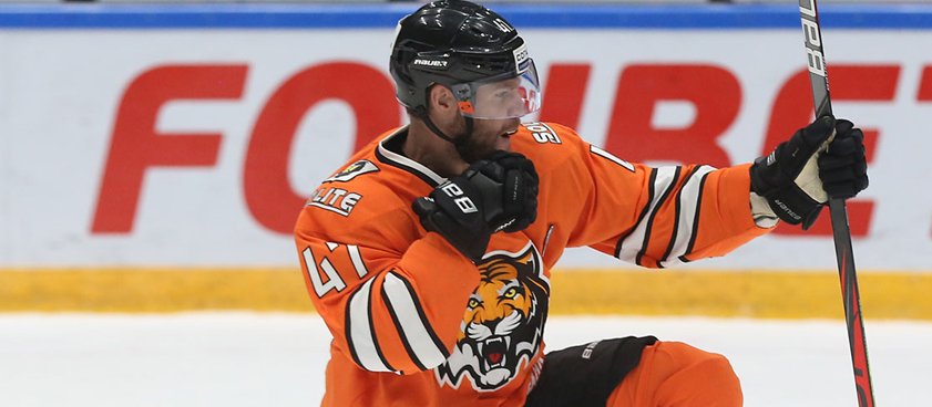 Амур – Динамо Рига: тигры не оставят сопернику шансов Амур – Динамо Рига: тигры не оставят сопернику шансов