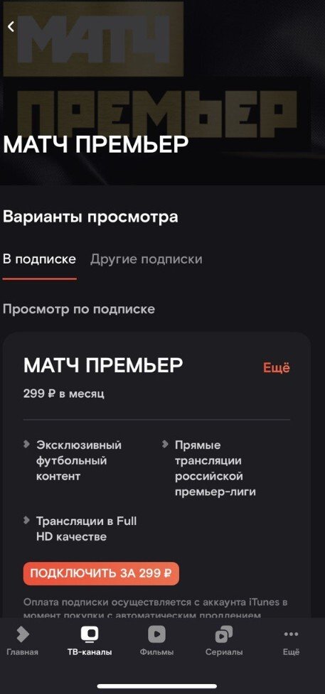 Оформление подписки в приложении Wink