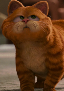 Naomtoln