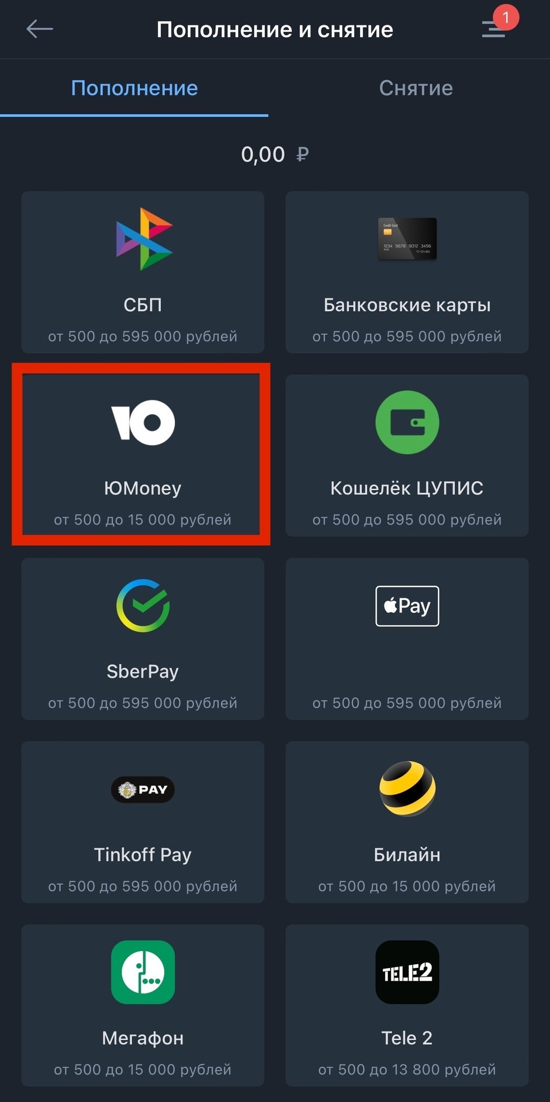 Оплата через онлайн-кошелек