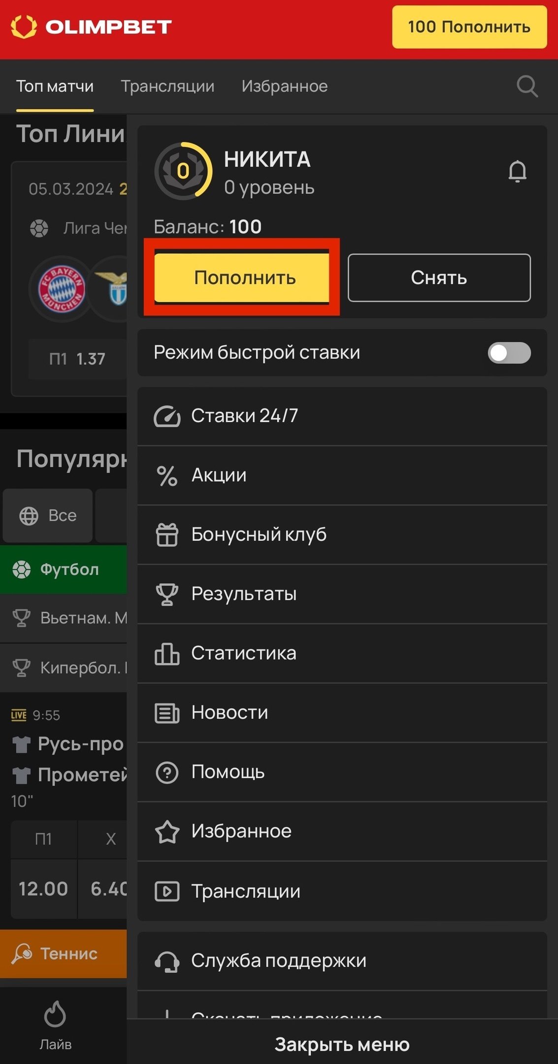 Вкладка «Пополнить баланс» в меню