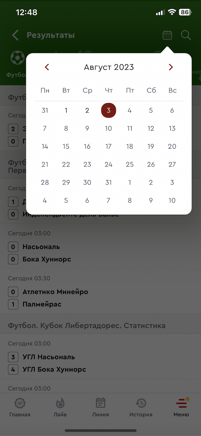 Раздел «Результаты»