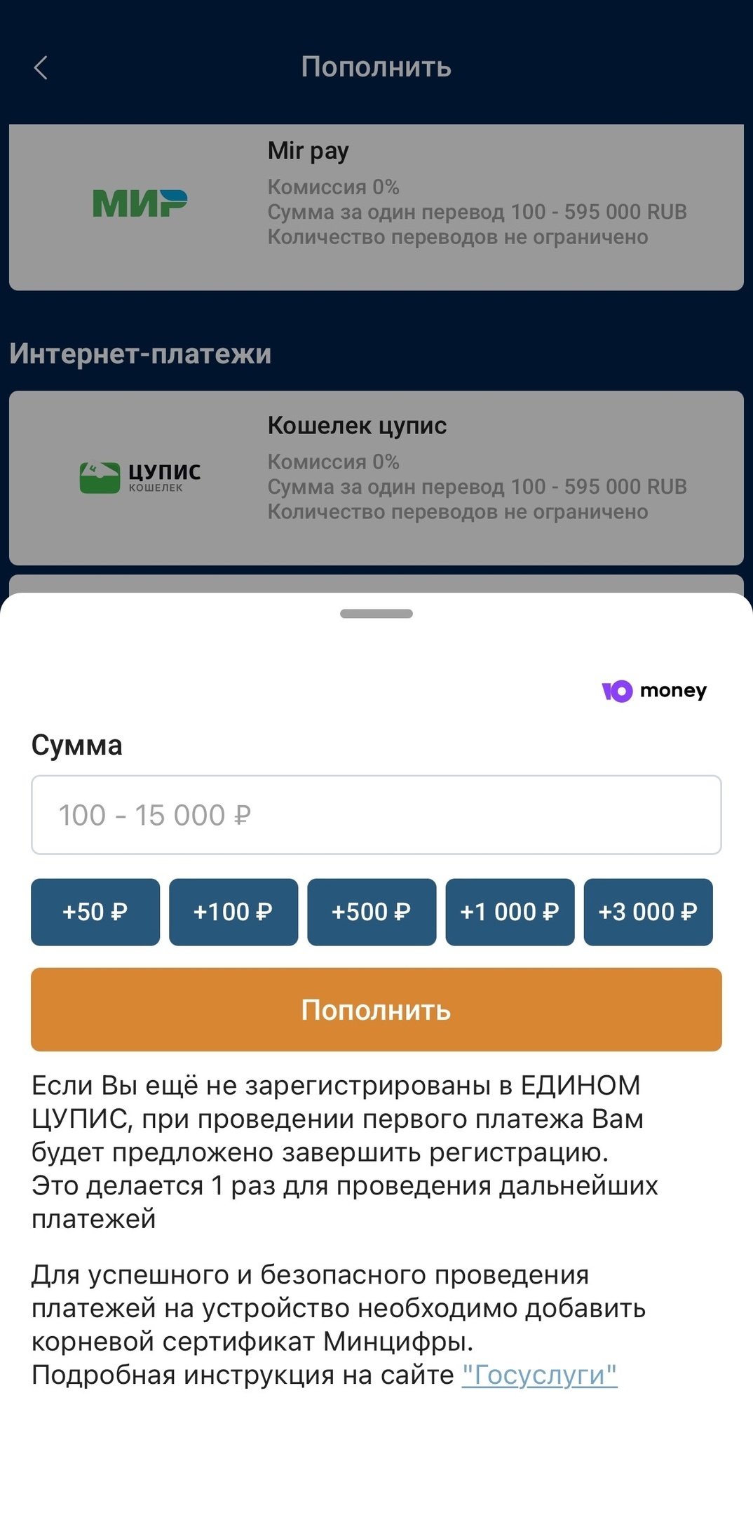 Выбор суммы операции