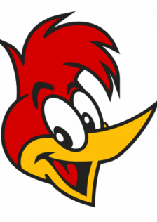 Woodpecker