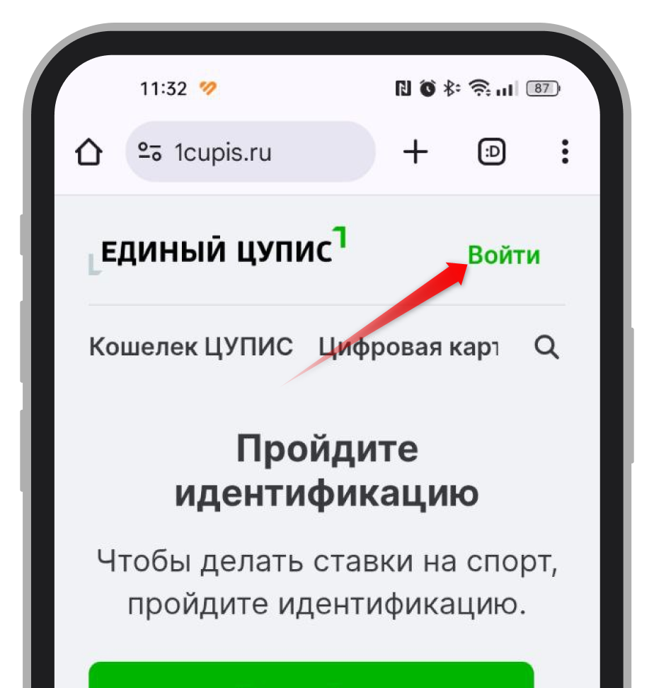 Кнопка «Войти» на сайте ЦУПИС
