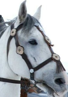 artemievnatan