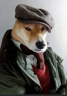 Pavlov1988