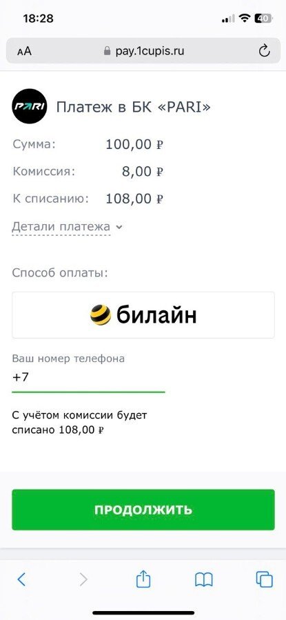 Заполнение платёжной информации