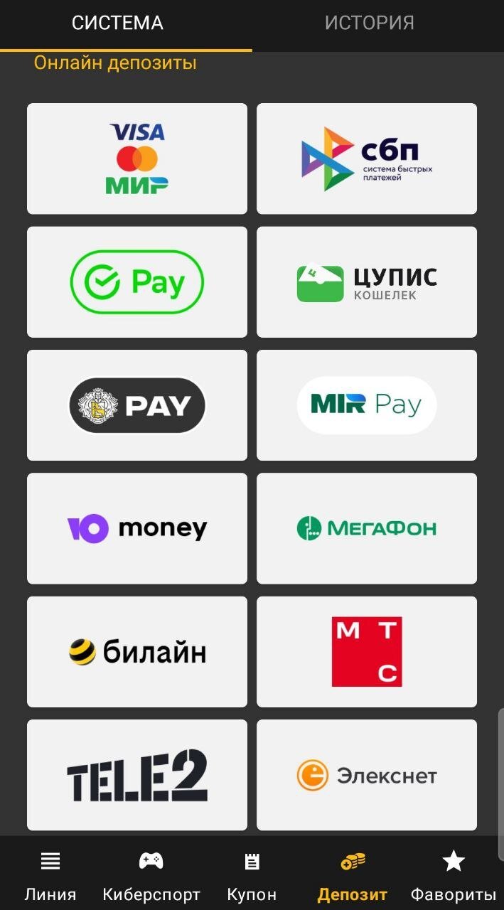Все методы пополнения в Melbet, Все методы пополнения в Melbet, Все методы пополнения в Melbet