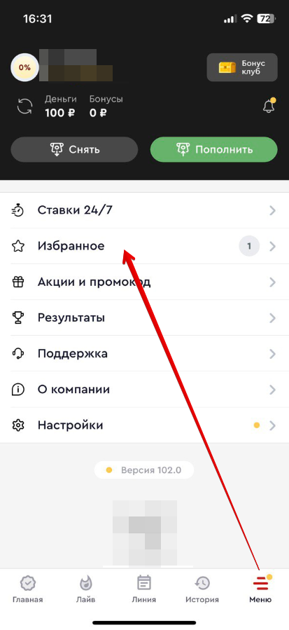 Раздел «Избранное»