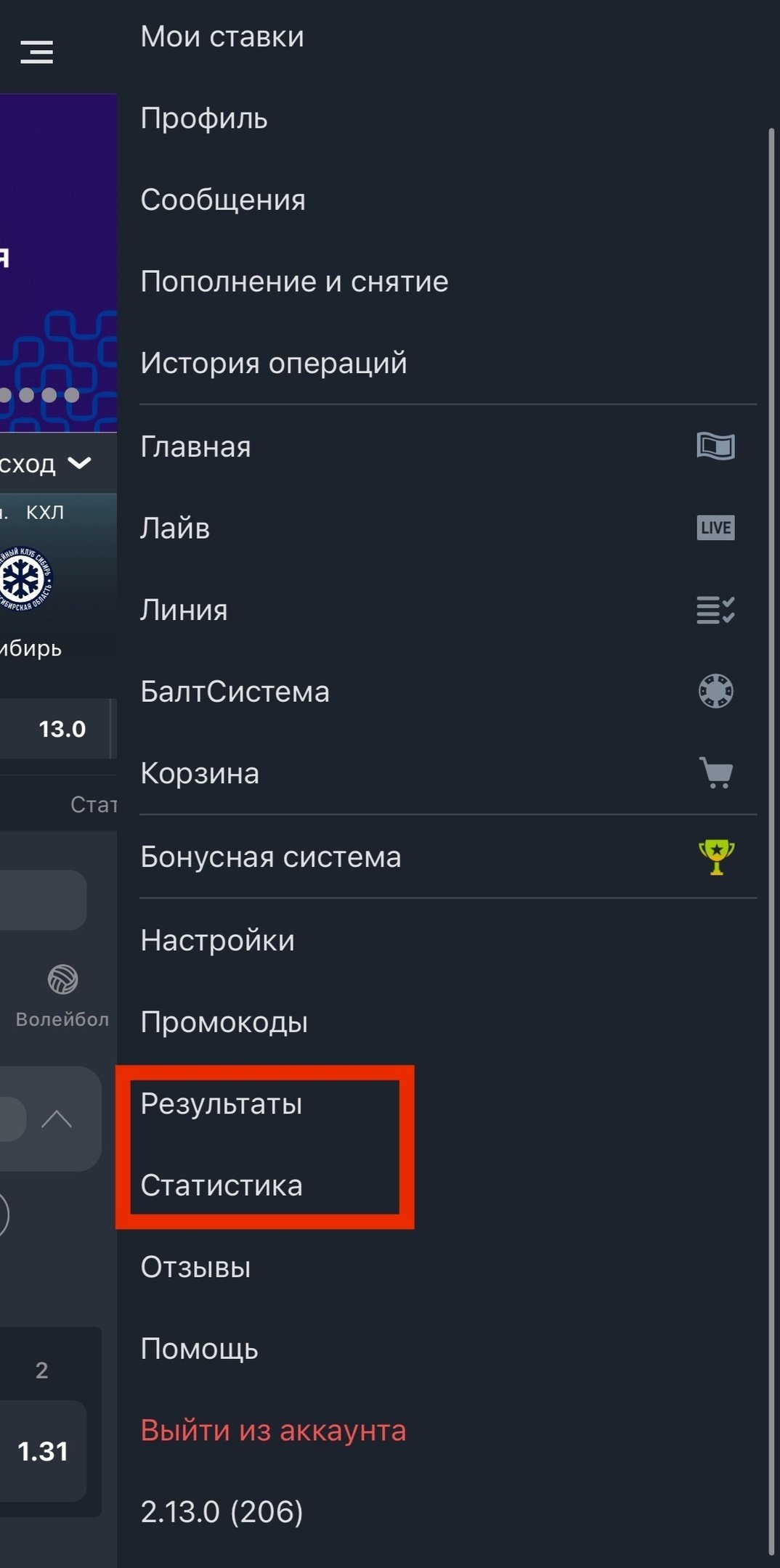 Статистика и результаты в приложении