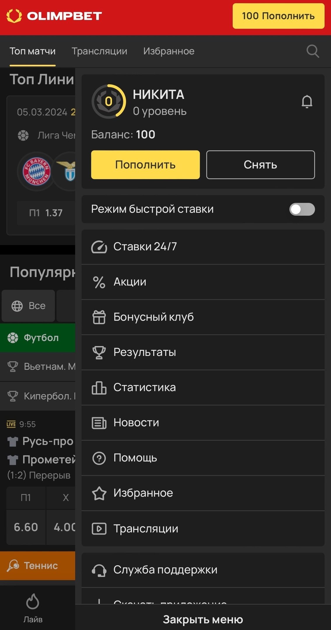 Меню профиля на сайте