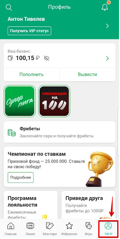 Профиль игрока в мобильном приложении «Лига Ставок»