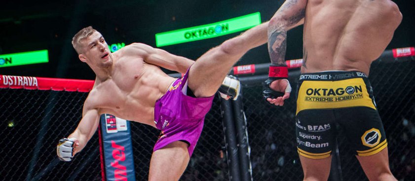 Роман Мухамедшин – Давид Козма: прогноз на смешанные единоборства (ММА) от Мма Fan