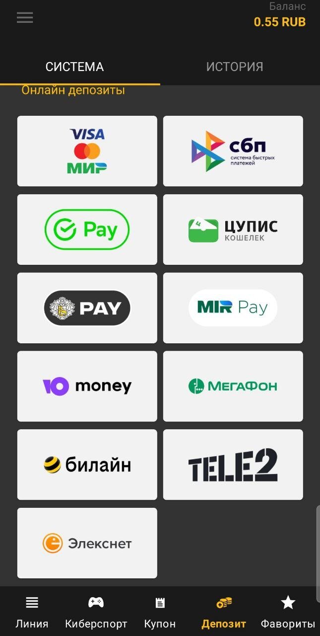 Способы пополнения счёта, Экран вывода средств