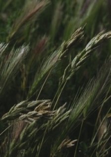m.lukonina