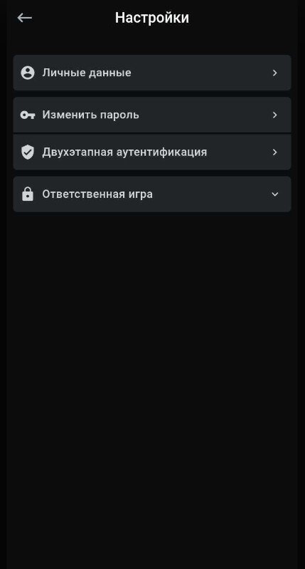 Содержание пункта «Настройки»