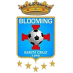 Логотип Blooming