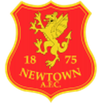 Логотип Newtown